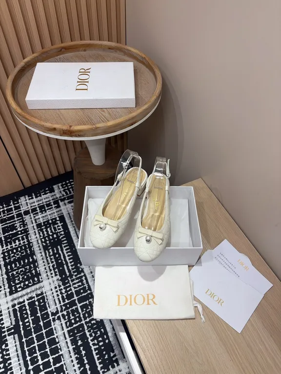 Dior Shoe 